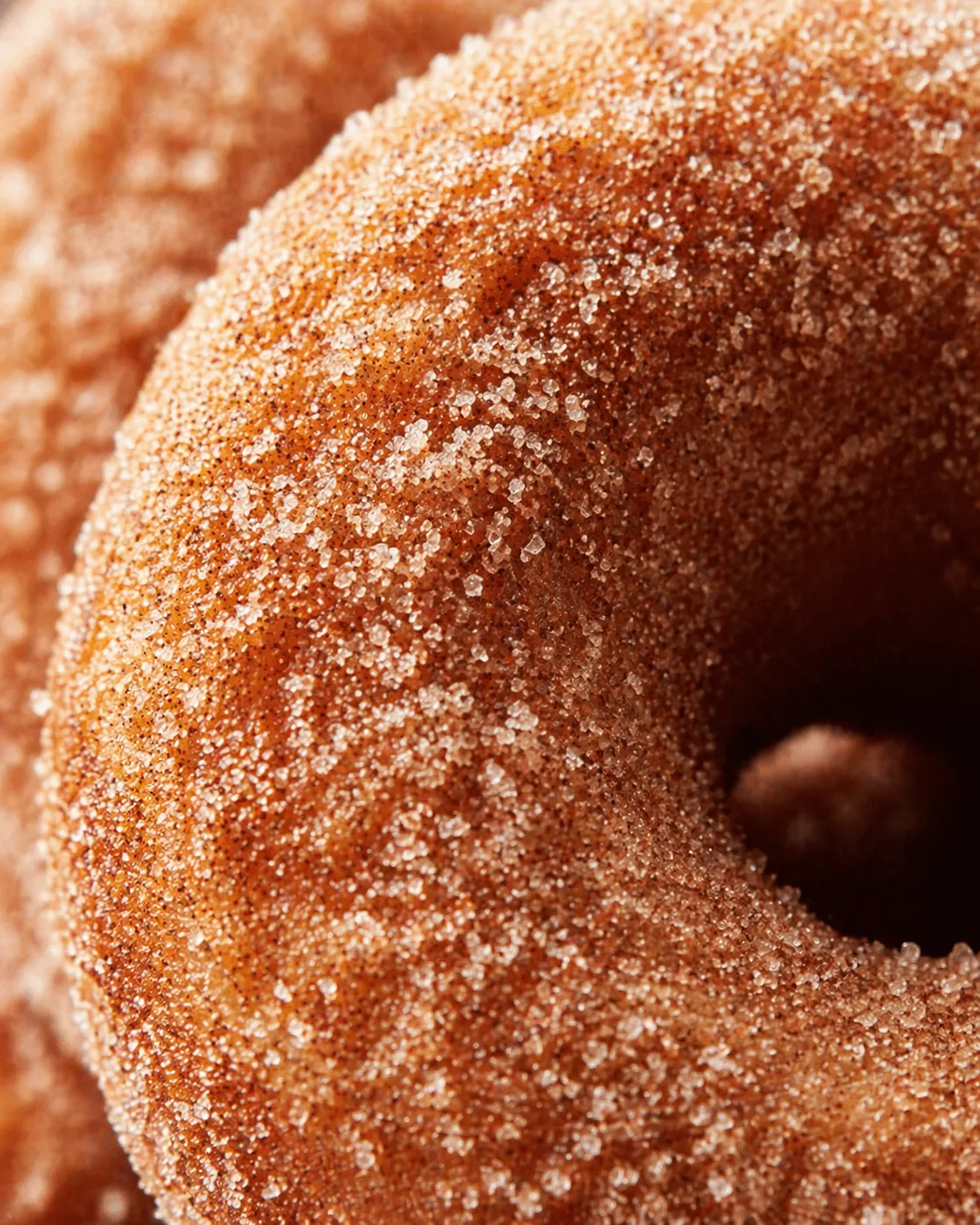 Tight detail shot of Homemade Apple Cider Donuts highlighting texture