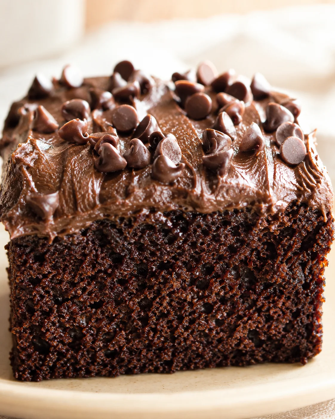 close-up of a dense chocolate cake slice topped with glossy chocolate frosting and chips