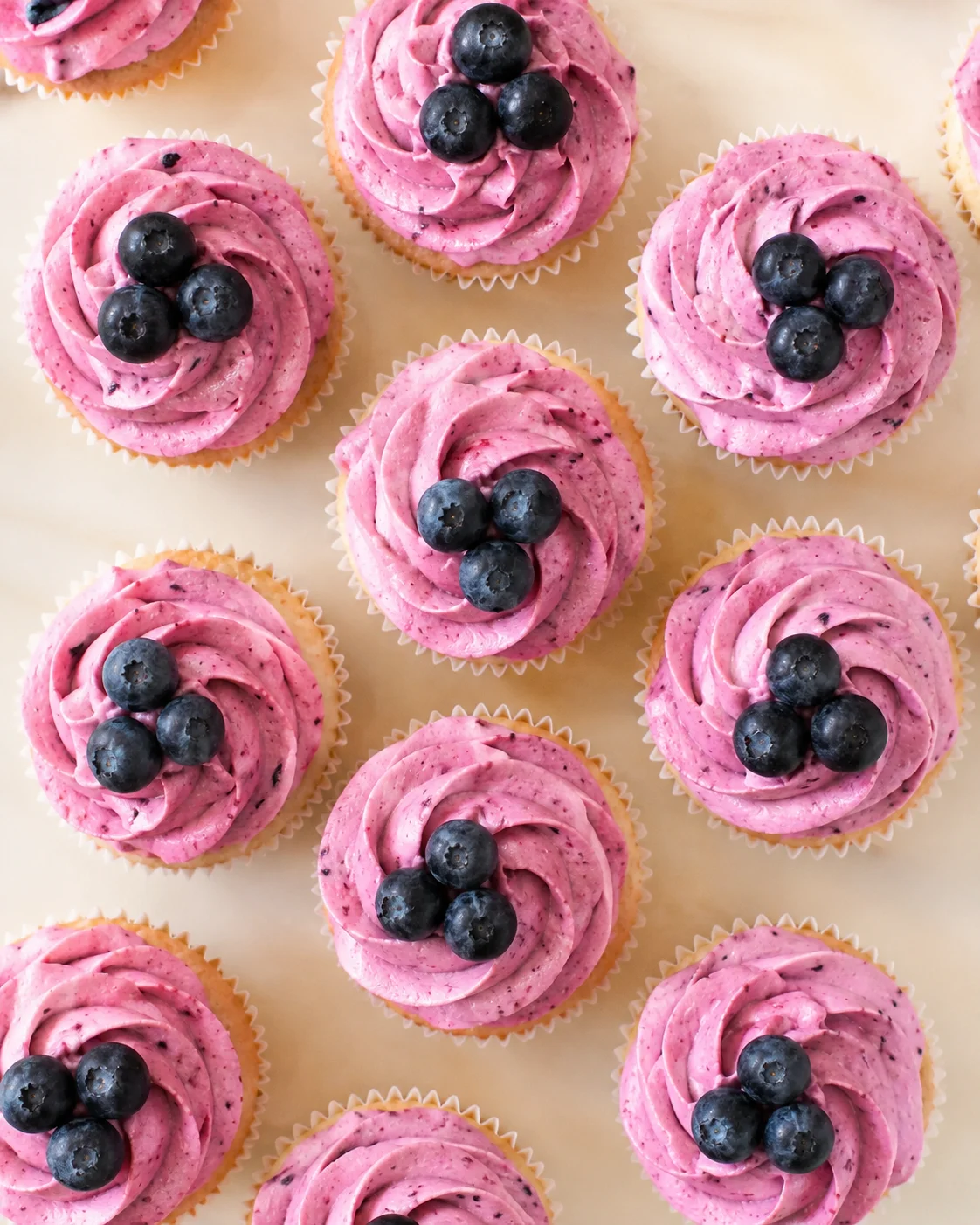 rows of pink-frosted cupcakes topped with blueberries on a light parchment background.