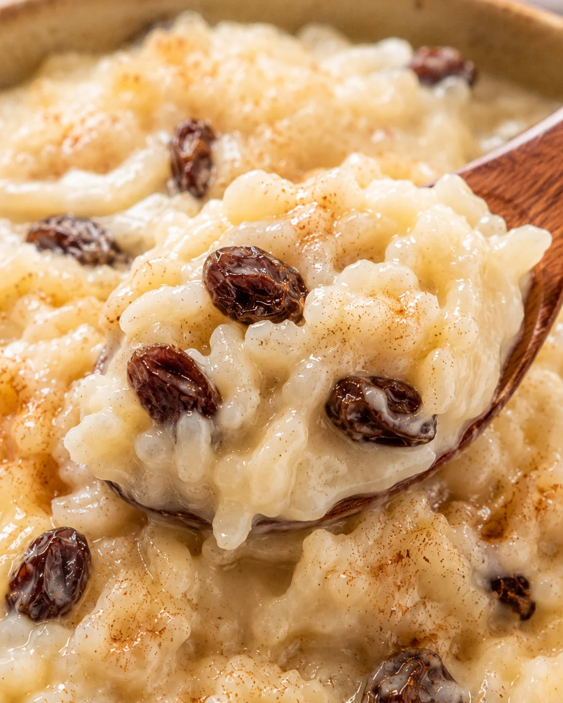 Close-up of warm rice pudding with raisins and cinnamon on top